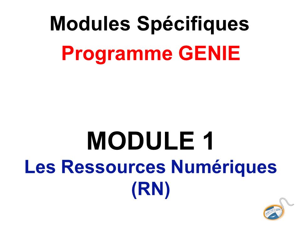 Modules Spécifiques Programme GENIE MODULE 1 Les Ressources Numériques (RN)