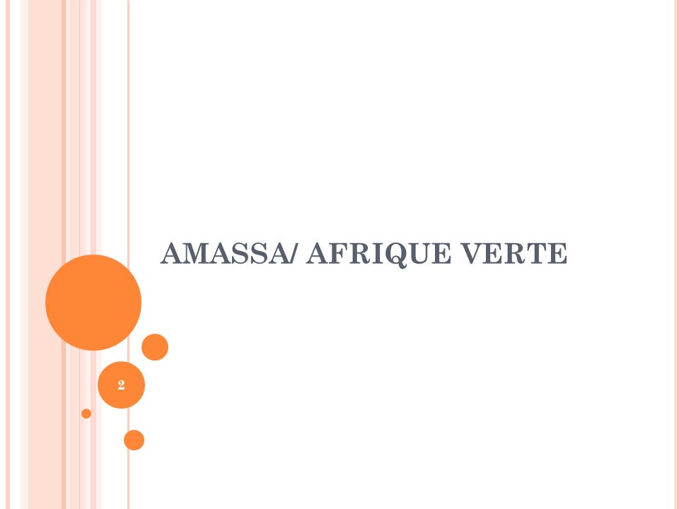 AMASSA/ AFRIQUE VERTE 2