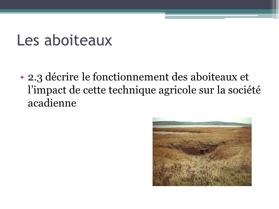 Les aboiteaux 2.3 décrire le fonctionnement des aboiteaux et limpact de cette technique agricole sur la société acadienne