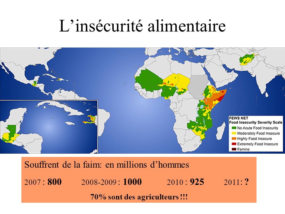Linsécurité alimentaire Souffrent de la faim: en millions dhommes 2007 : : : : .