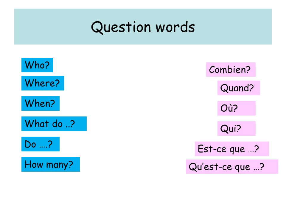 Question words Who. Where. When. Do ….. What do...