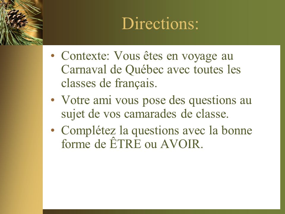 Directions: Contexte: Vous êtes en voyage au Carnaval de Québec avec toutes les classes de français.