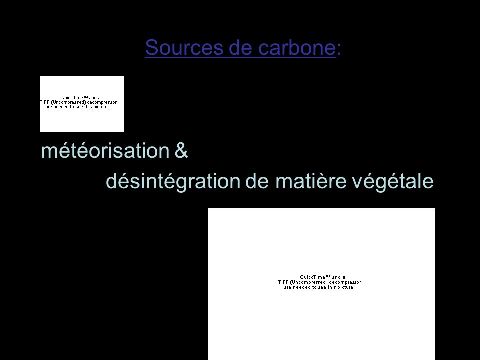météorisation & désintégration de matière végétale Sources de carbone: