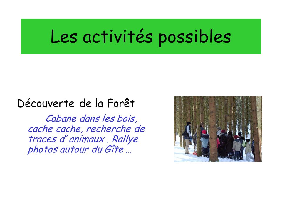 Les activités possibles Découverte de la Forêt Cabane dans les bois, cache cache, recherche de traces d animaux.