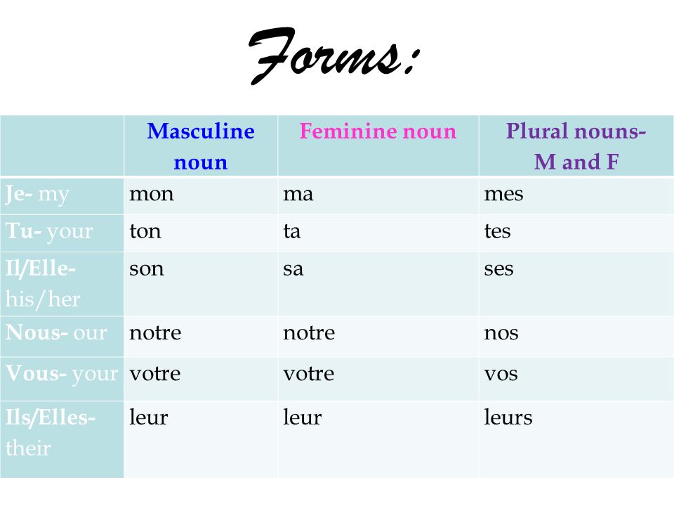 Forms: Masculine noun Feminine noun Plural nouns- M and F Je- my monmames Tu- your tontates Il/Elle- his/her sonsases Nous- our notre nos Vous- your votre vos Ils/Elles- their leur leurs