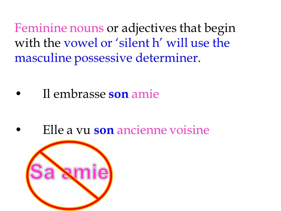 Feminine nouns or adjectives that begin with the vowel or silent h will use the masculine possessive determiner.