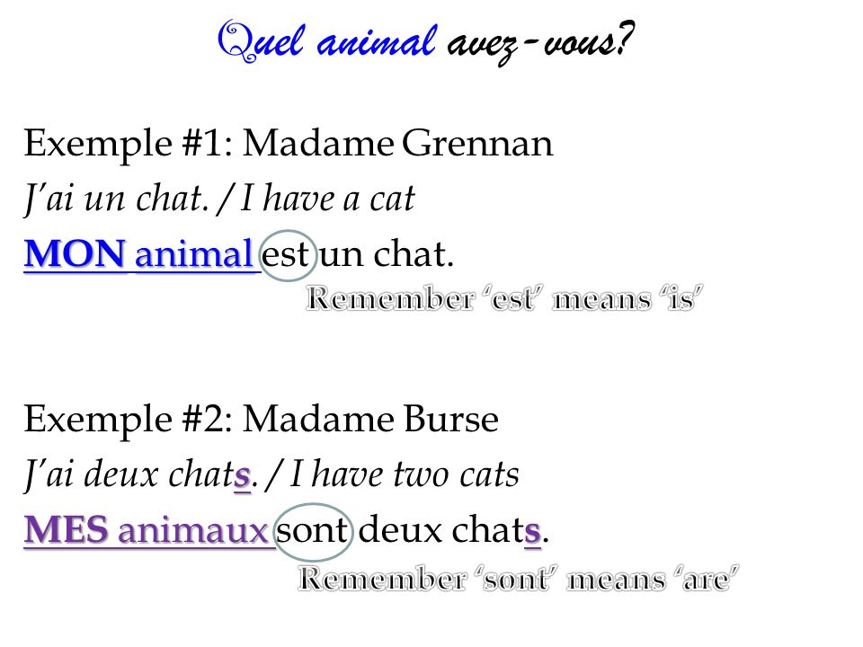 Q uel animal avez-vous. Exemple #1: Madame Grennan Jai un chat.