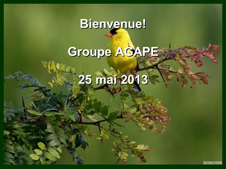Bienvenue! Groupe AGAPE 25 mai 2013 Bienvenue! Groupe AGAPE 25 mai 2013