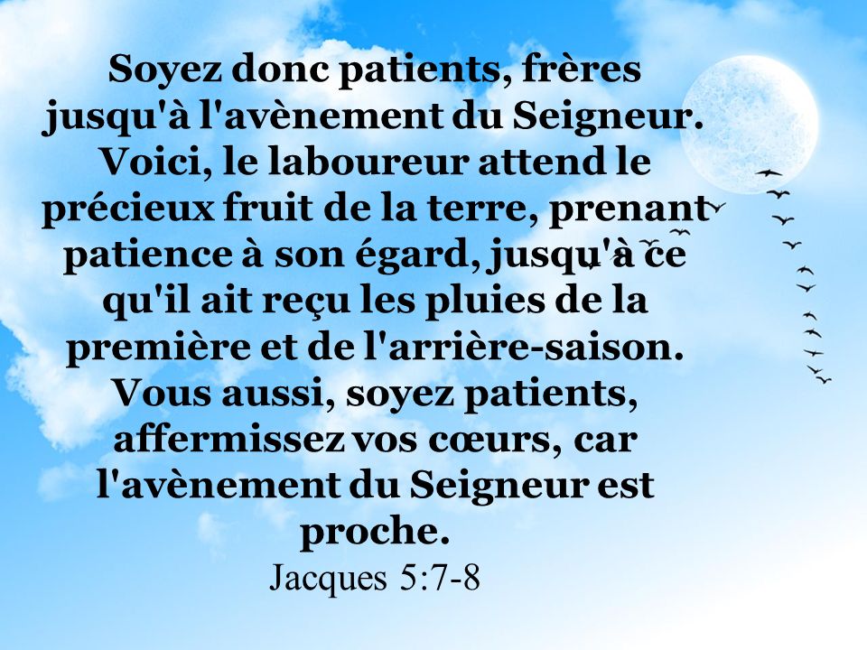 Soyez donc patients, frères jusqu à l avènement du Seigneur.