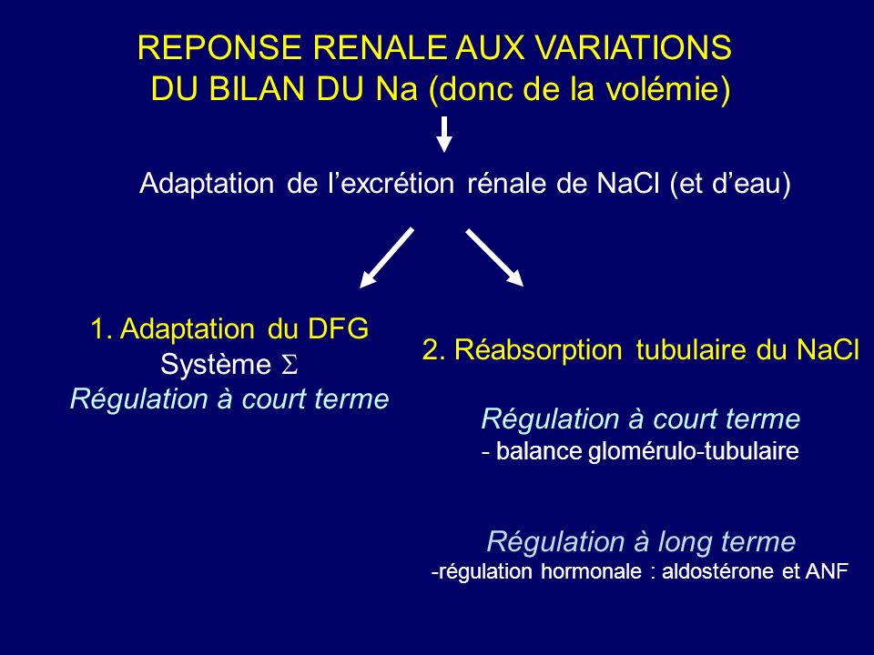 REPONSE RENALE AUX VARIATIONS DU BILAN DU Na (donc de la volémie) Adaptation de lexcrétion rénale de NaCl (et deau) 2.