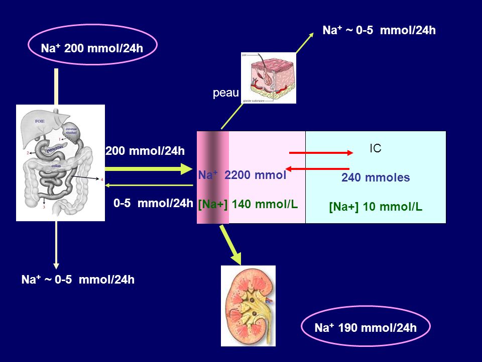 IC 240 mmoles [Na+] 10 mmol/L Na + ~ 0-5 mmol/24h 200 mmol/24h EC Na mmol/24h Na mmol/24h peau Na + ~ 0-5 mmol/24h 0-5 mmol/24h Na mmol [Na+] 140 mmol/L