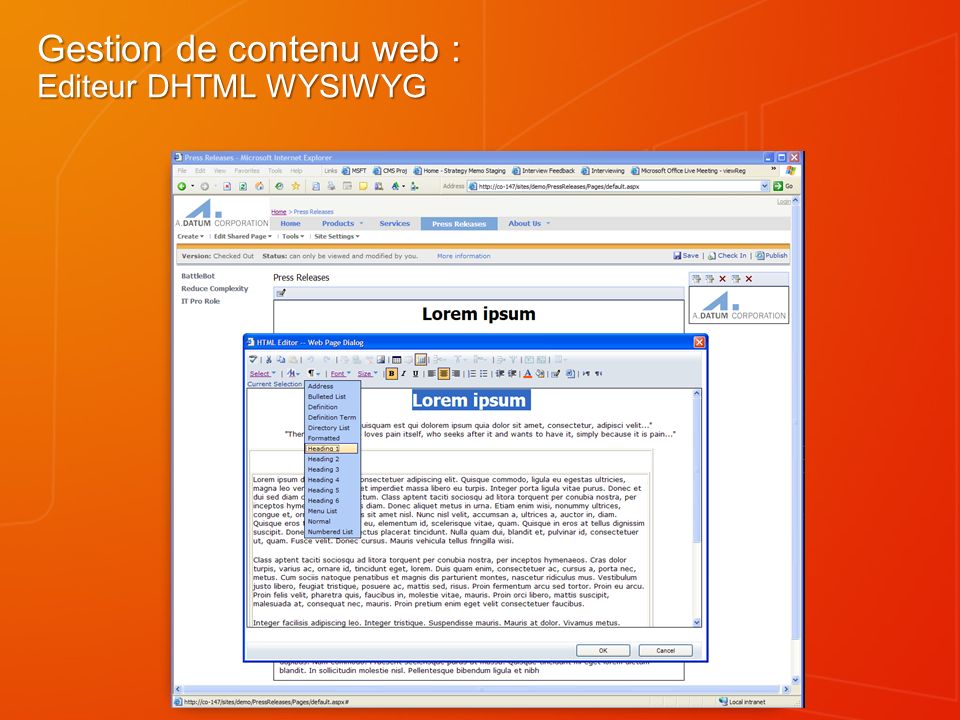 Gestion de contenu web : Editeur DHTML WYSIWYG