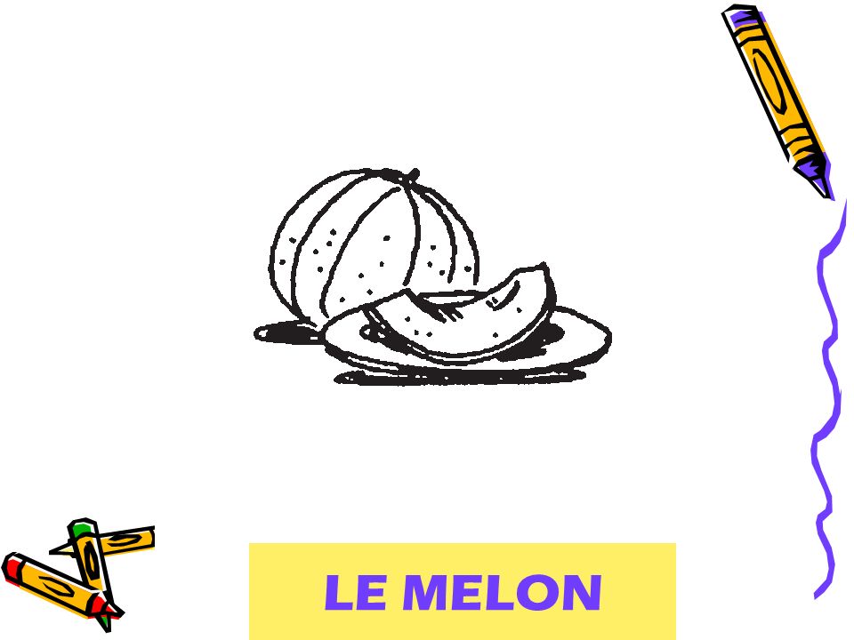 LE MELON