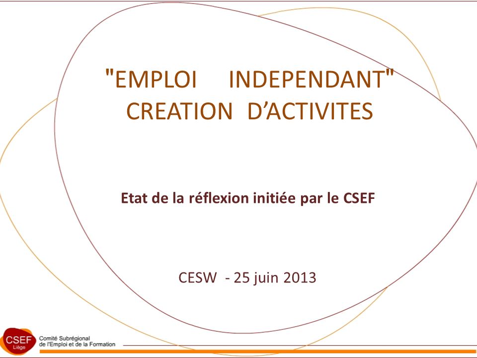 EMPLOI INDEPENDANT CREATION DACTIVITES Etat de la réflexion initiée par le CSEF CESW - 25 juin 2013