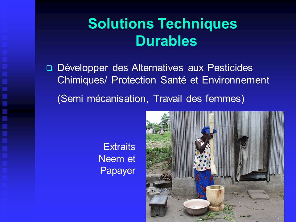 Développer des Alternatives aux Pesticides Chimiques/ Protection Santé et Environnement (Semi mécanisation, Travail des femmes) Solutions Techniques Durables Extraits Neem et Papayer