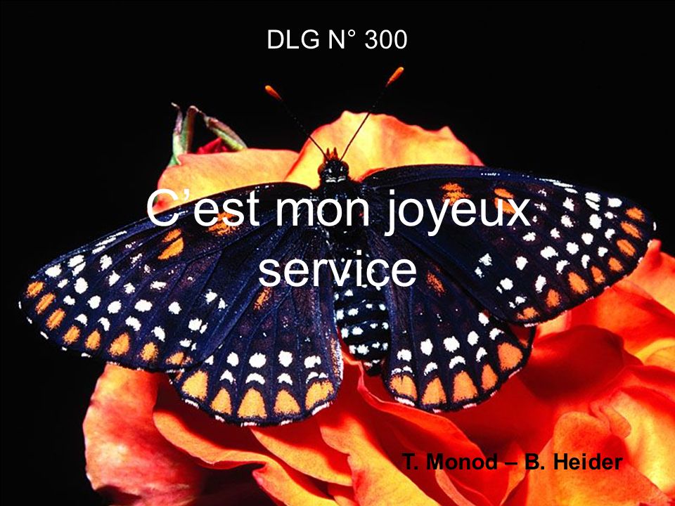 DLG N° 300 Cest mon joyeux service T. Monod – B. Heider