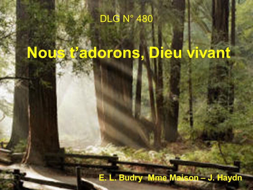 DLG N° 480 Nous tadorons, Dieu vivant E. L. Budry Mme Maison – J. Haydn