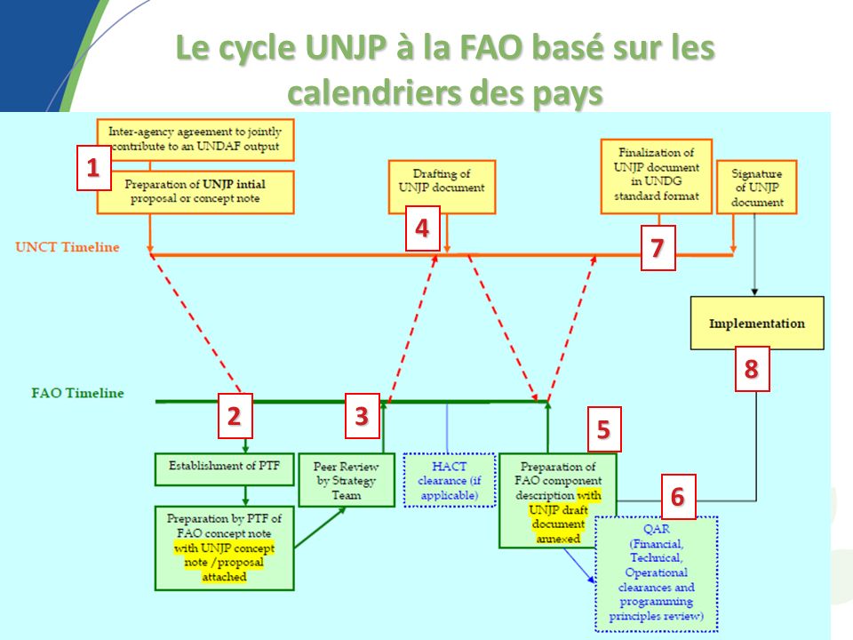 Le cycle UNJP à la FAO basé sur les calendriers des pays