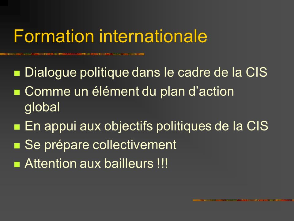 Formation internationale Dialogue politique dans le cadre de la CIS Comme un élément du plan daction global En appui aux objectifs politiques de la CIS Se prépare collectivement Attention aux bailleurs !!!