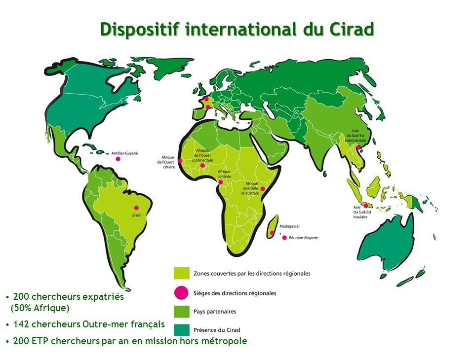 Dispositif international du Cirad 200 chercheurs expatriés (50% Afrique) 142 chercheurs Outre-mer français 200 ETP chercheurs par an en mission hors métropole