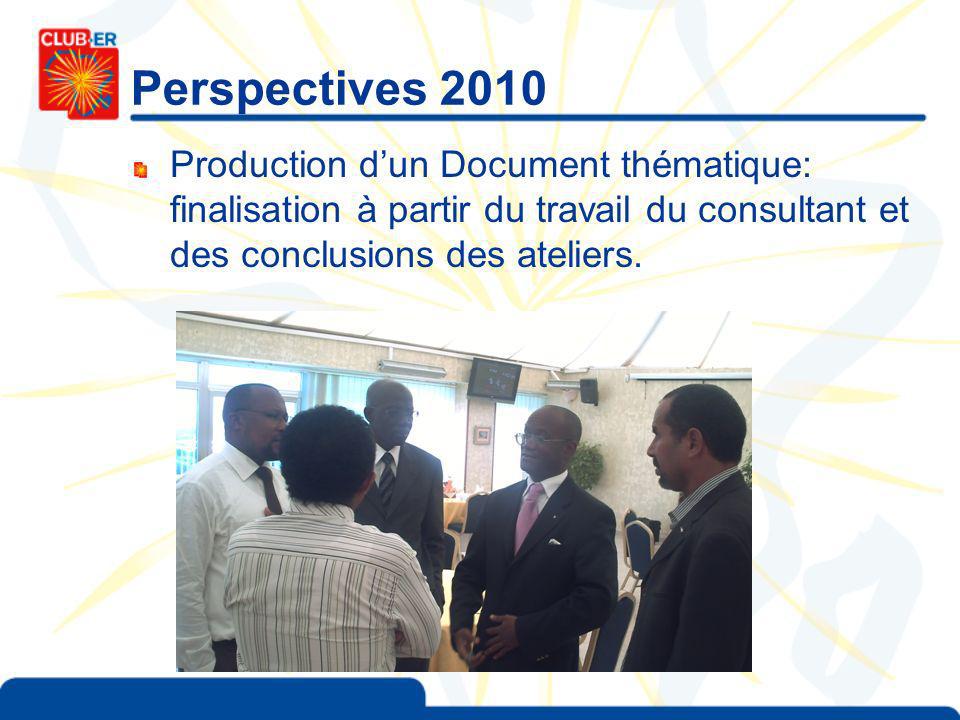 Perspectives 2010 Production dun Document thématique: finalisation à partir du travail du consultant et des conclusions des ateliers.