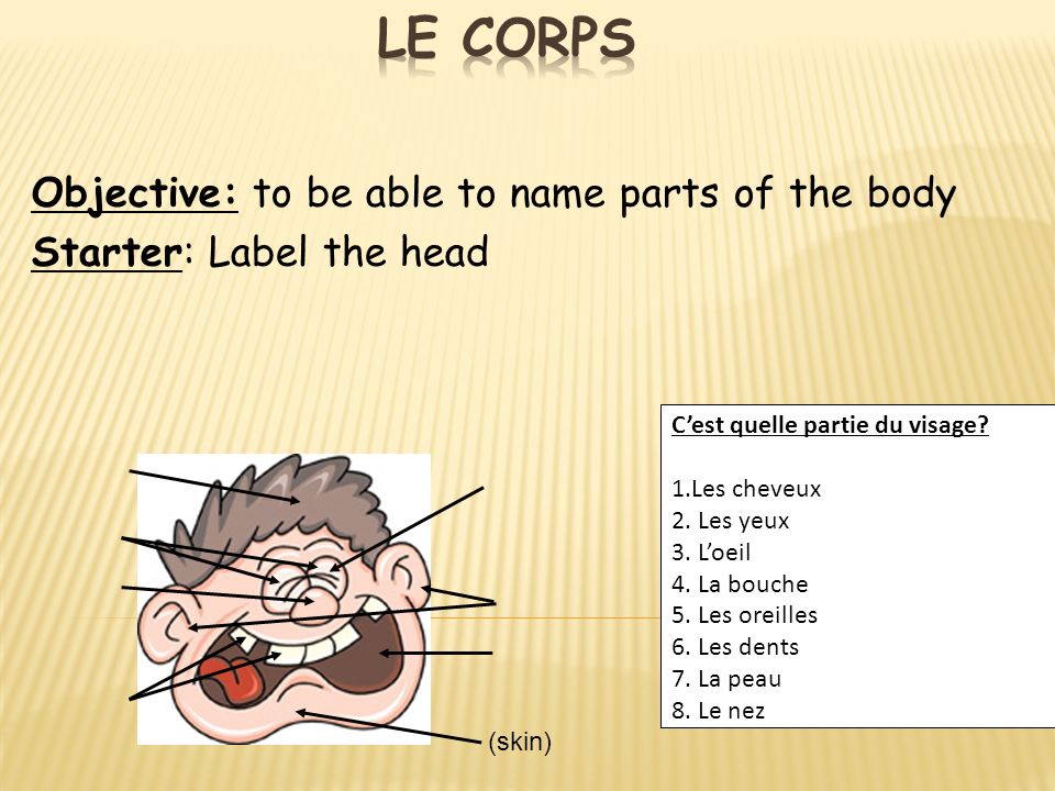Objective: to be able to name parts of the body Starter: Label the head Cest quelle partie du visage.