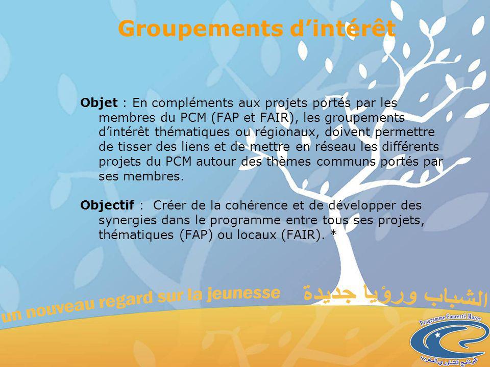 Groupements dintérêt Objet : En compléments aux projets portés par les membres du PCM (FAP et FAIR), les groupements dintérêt thématiques ou régionaux, doivent permettre de tisser des liens et de mettre en réseau les différents projets du PCM autour des thèmes communs portés par ses membres.