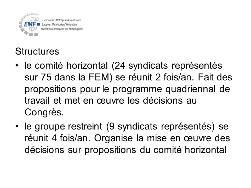 Structures le comité horizontal (24 syndicats représentés sur 75 dans la FEM) se réunit 2 fois/an.