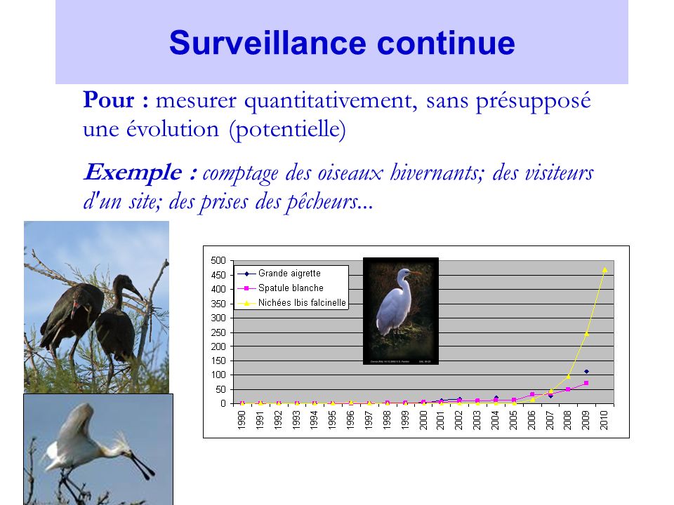 Surveillance continue Pour : mesurer quantitativement, sans présupposé une évolution (potentielle) Exemple : comptage des oiseaux hivernants; des visiteurs d un site; des prises des pêcheurs...