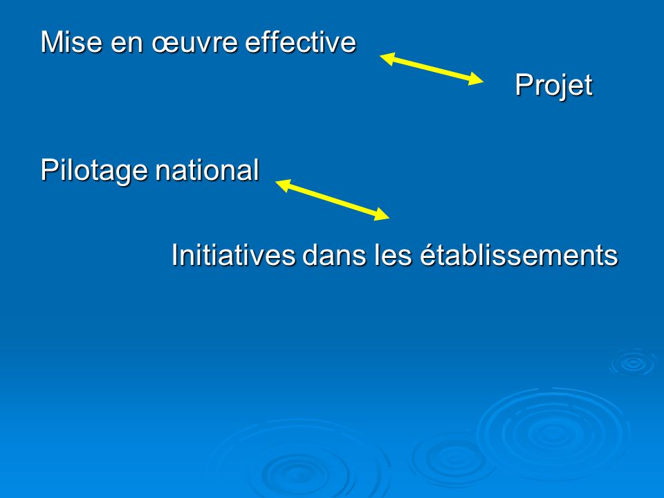 Mise en œuvre effective Projet Projet Pilotage national Initiatives dans les établissements Initiatives dans les établissements