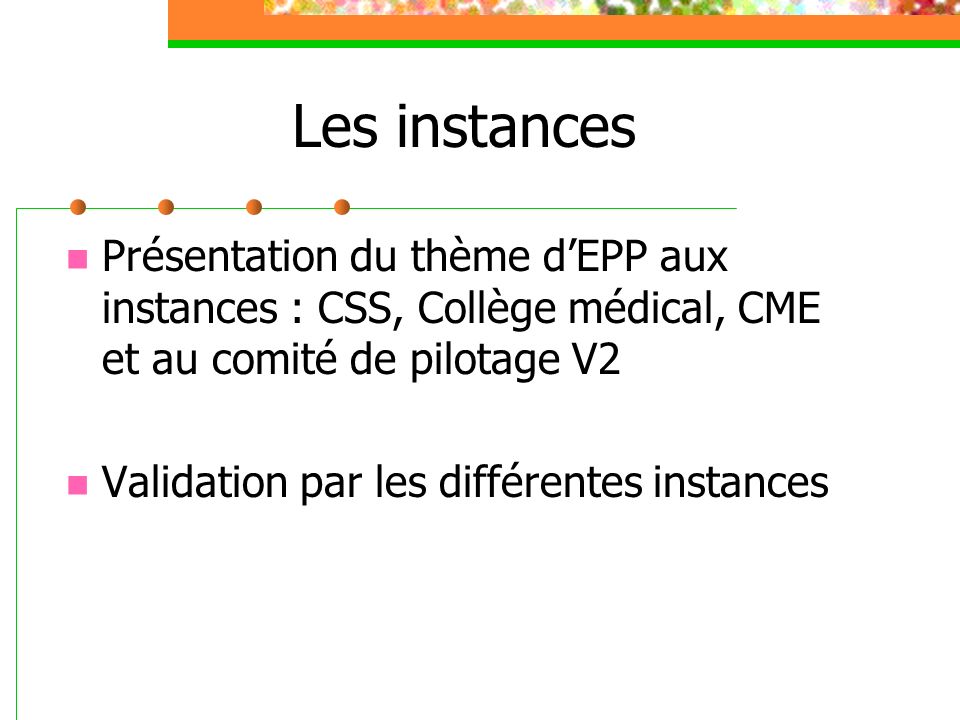 Les instances Présentation du thème dEPP aux instances : CSS, Collège médical, CME et au comité de pilotage V2 Validation par les différentes instances