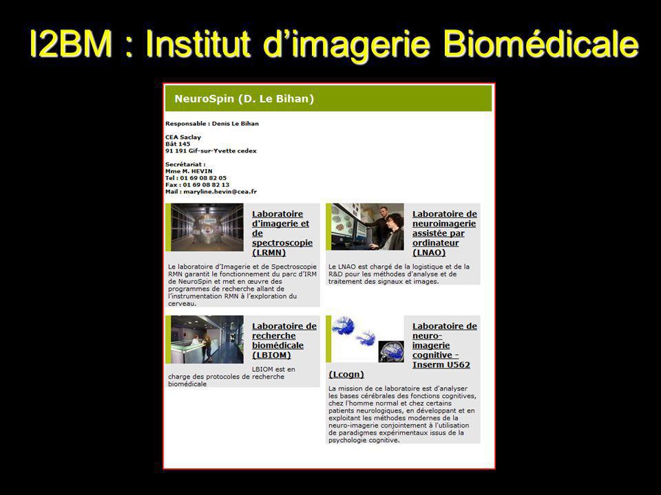 I2BM : Institut dimagerie Biomédicale