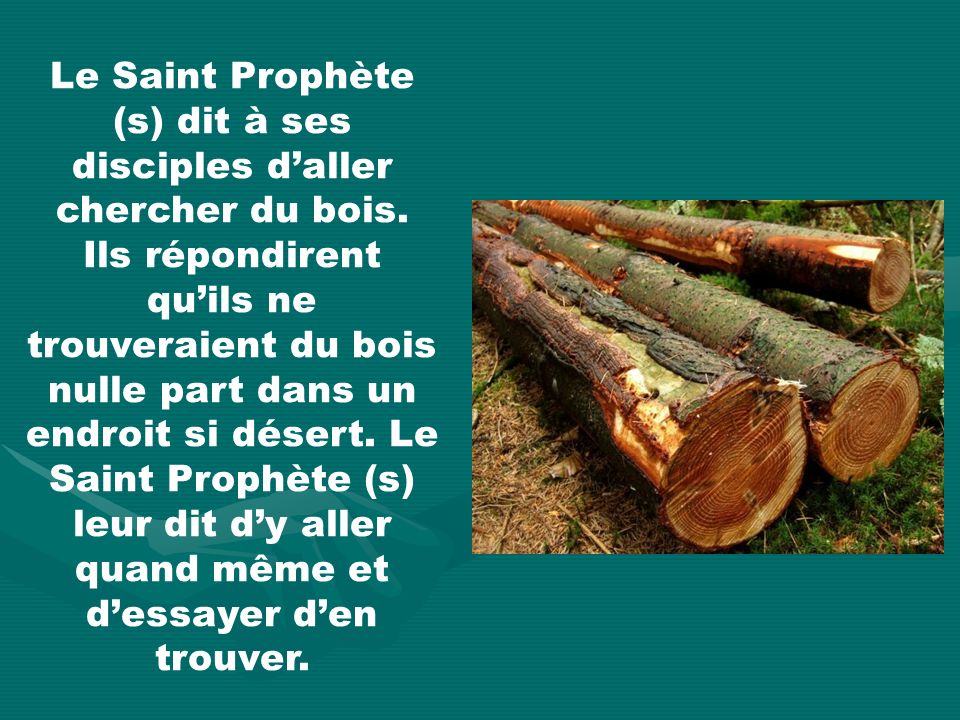 Le Saint Prophète (s) dit à ses disciples daller chercher du bois.