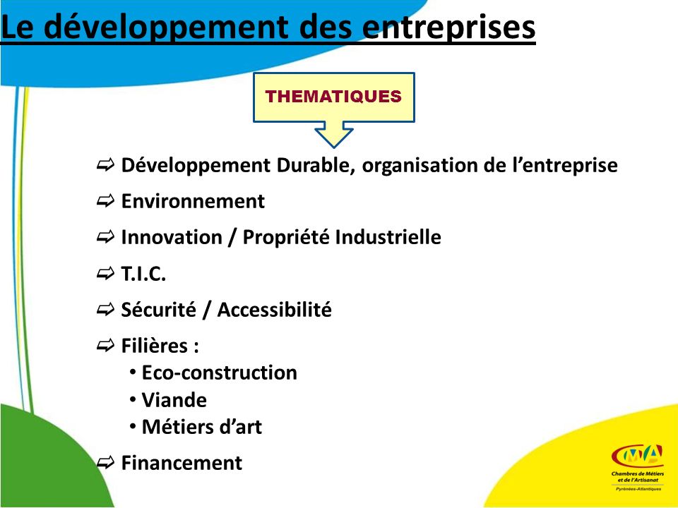 Le développement des entreprises THEMATIQUES Développement Durable, organisation de lentreprise Environnement Innovation / Propriété Industrielle T.I.C.