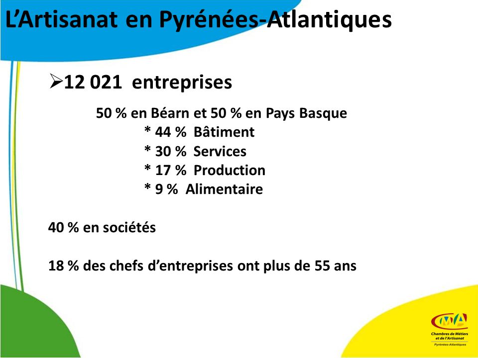 entreprises 50 % en Béarn et 50 % en Pays Basque * 44 % Bâtiment * 30 % Services * 17 % Production * 9 % Alimentaire 40 % en sociétés 18 % des chefs dentreprises ont plus de 55 ans LArtisanat en Pyrénées-Atlantiques