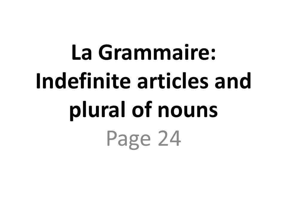 La Grammaire: Indefinite articles and plural of nouns Page 24