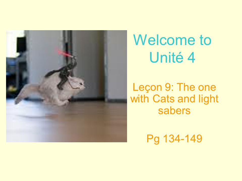 Welcome to Unité 4 Leçon 9: The one with Cats and light sabers Pg