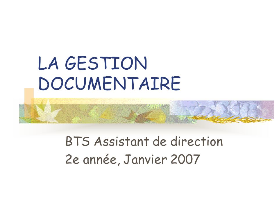 LA GESTION DOCUMENTAIRE BTS Assistant de direction 2e année, Janvier 2007