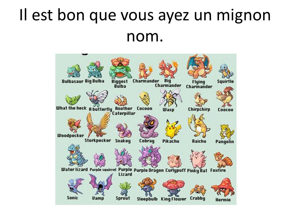 Comment Être un Pokémon Annika Hvide Français IIIB2 Madame Popowski Le 29  mai ppt télécharger
