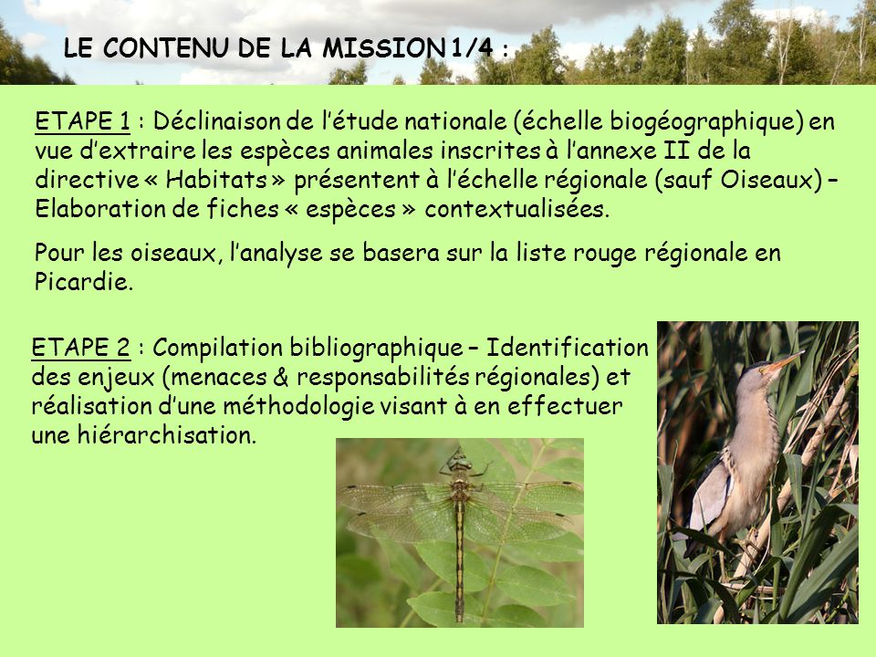 Hierarchisation Au Niveau Regional Des Enjeux De