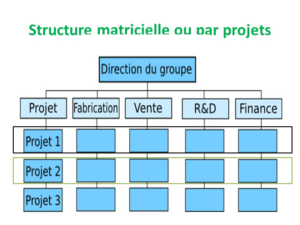 structure organisationnelle matricielle