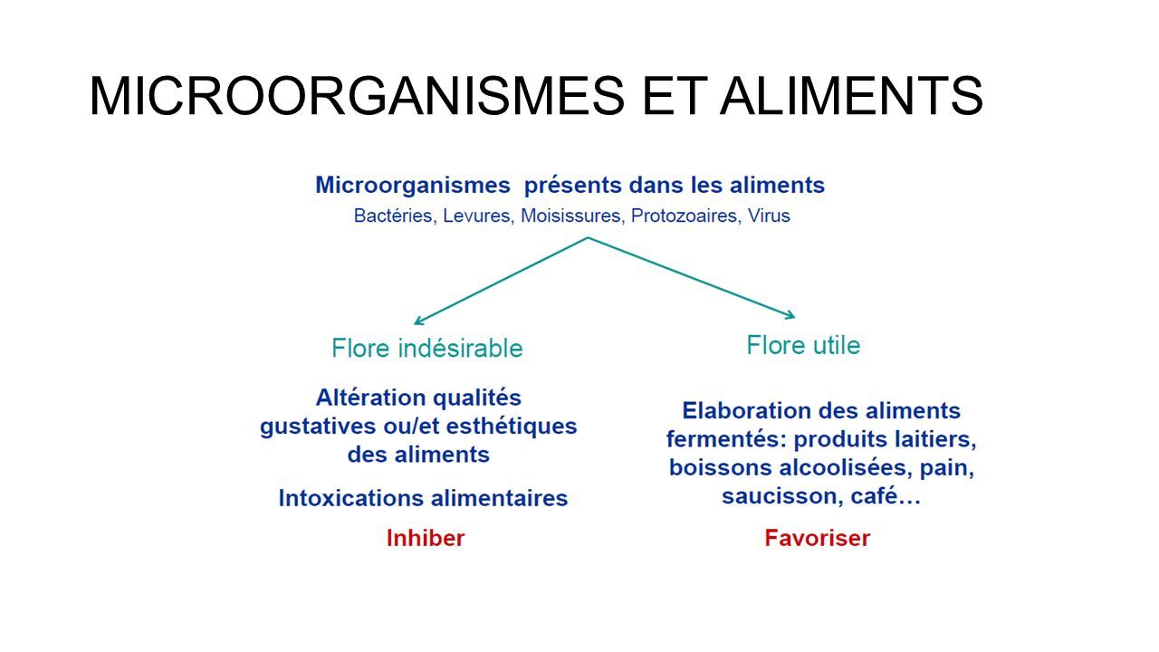 MICROORGANISMES ET ALIMENTS. LES FACTEURS DE DEVELOPPEMENT DES ...