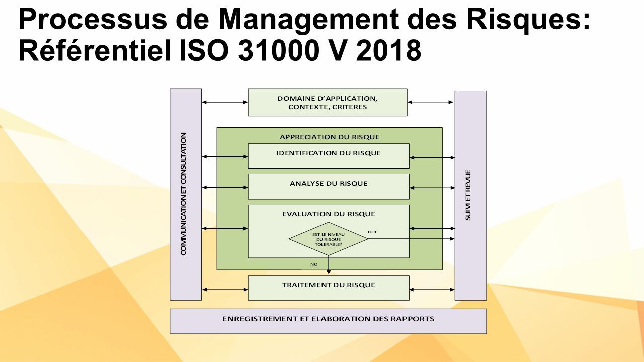 Processus De Management Des Risques Assurer La Pérennité De L