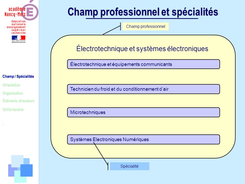 Champ / Spécialités Orientation Organisation Éléments directeurs.