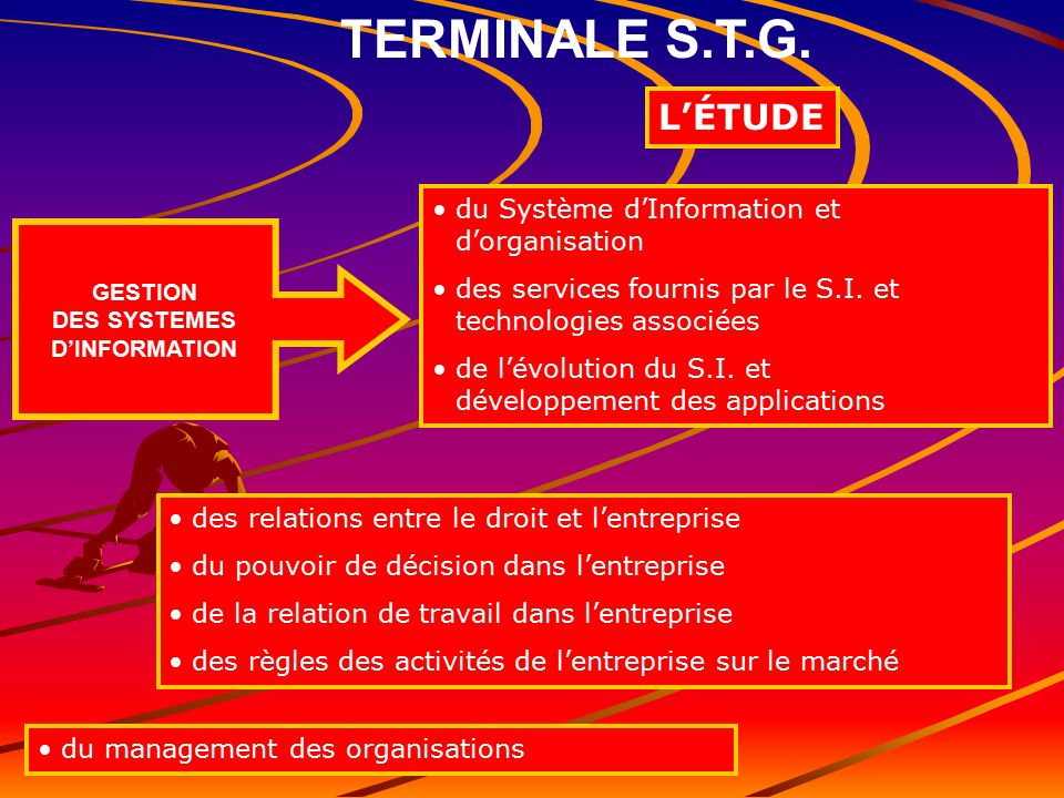 GESTION DES SYSTEMES D’INFORMATION TERMINALE S.T.G.