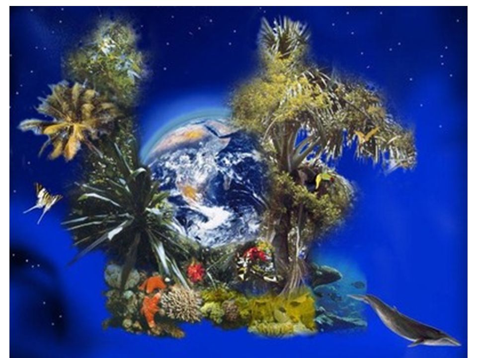 День живой планеты. Разнообразие жизни на земле. Биологическое разнообразие земли. Планета земля живые организмы. Биоразнообразие земли.