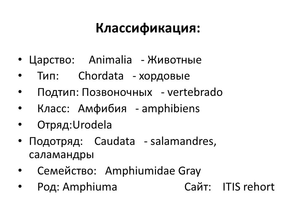 Классификация Царств. Царство Анималия.