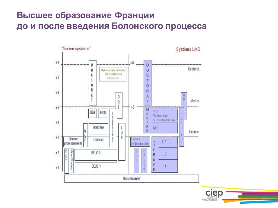 Система высшего образования