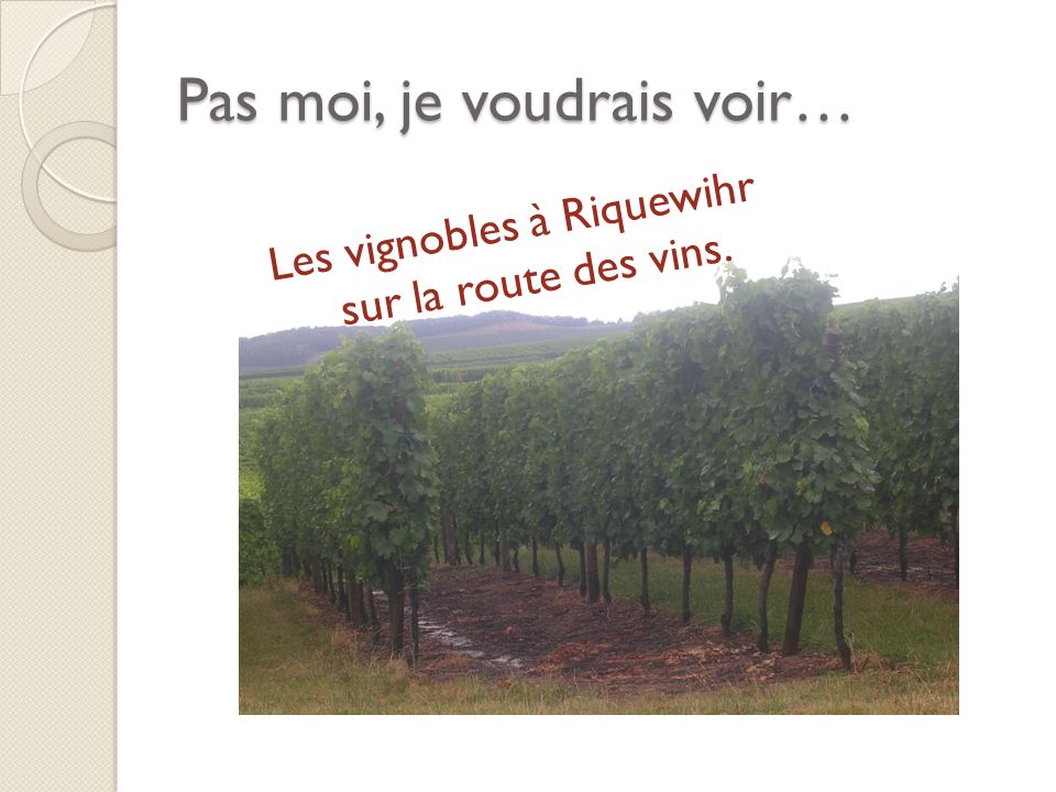 Pas moi, je voudrais voir… Les vignobles à Riquewihr sur la route des vins.
