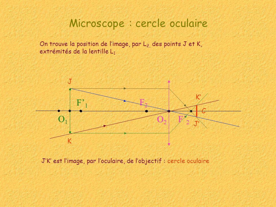 Microscope : cercle oculaire On trouve la position de limage, par L 2, des points J et K, extrémités de la lentille L 1 J K O1O1 F1F1 F2F2 F2F2 O2O2 J K JK est limage, par loculaire, de lobjectif : cercle oculaire C